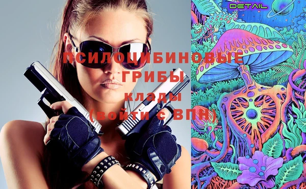 тгк Арсеньев