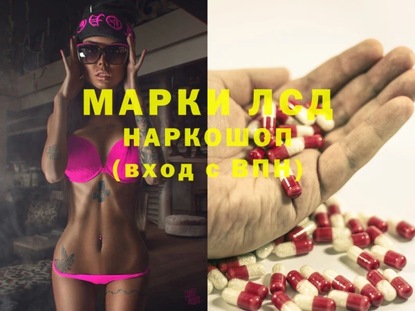 гидра Аркадак