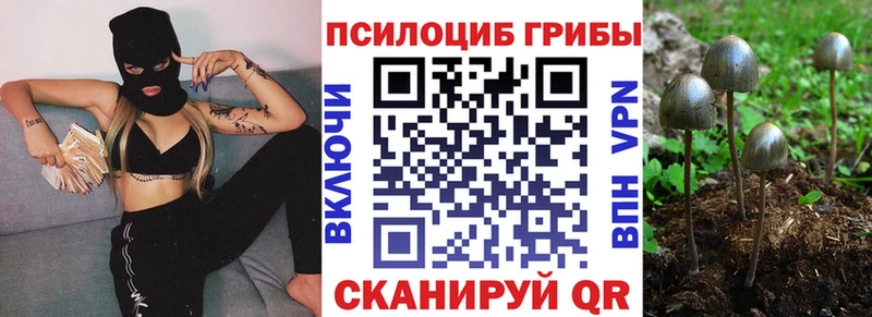 Псилоцибиновые грибы Psilocybe  Шарья 